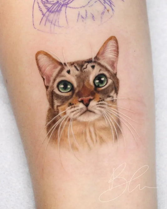 Small Colorful Cat Portrait Tattoo on Women Arm by @blu.tattoo