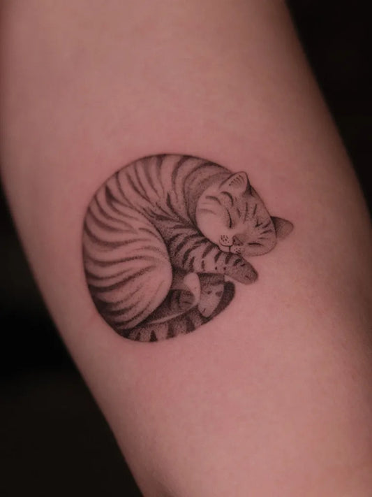 Small Dotwork Sleeping Tiger Cat Tattoo on Women Arm by @distel.tattoo