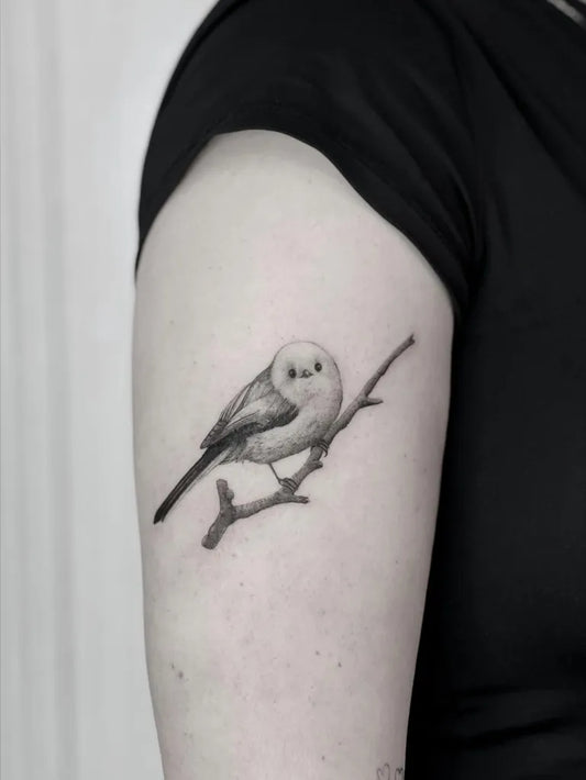 Small Fine Line Bird on Branch Tattoo on Women Arm by @sliwka.tattoo