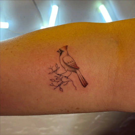 Small Fine Line Cardinal Bird Tattoo on Women Forearm by @michromatic