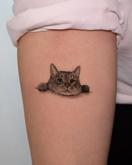 Small Fine Line Cat Tattoo on Women Arm by @ozi.ink
