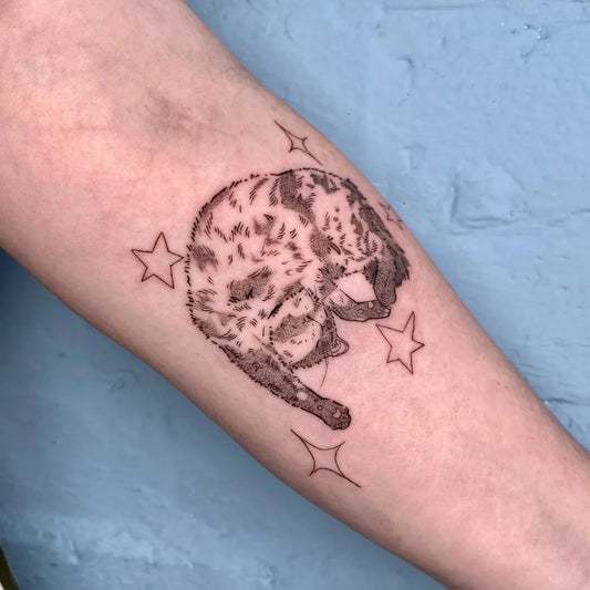 Small Fine Line Cat with Stars Tattoo on Women Arm by @restless.needles