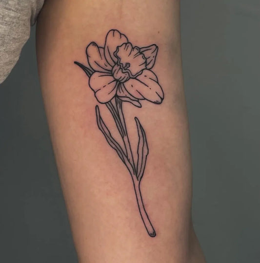 Small Fine Line Daffodil Tattoo on Women Arm by @mandmtattooing