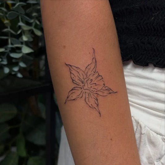 Small Fine Line Daffodil Tattoo on Women Forearm by @designedbydevine_