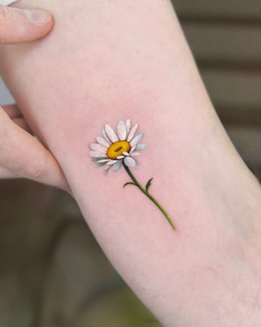 Small Fine Line Daisy Tattoo on Women Arm by @ssuncolor