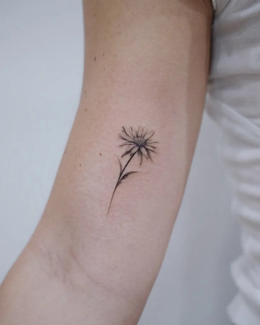 Small Fine Line Daisy Tattoo on Women Arm by @w.w.tatt
