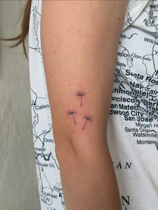 Small Fine Line Dandelion Tattoo on Women Arm by @stabalisim