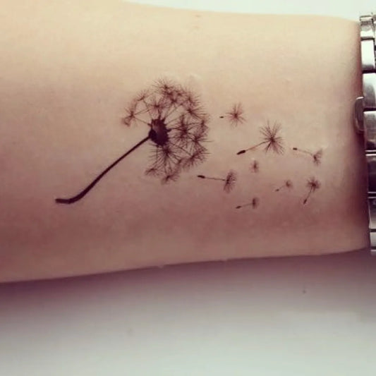 Small Fine Line Dandelion and Seeds Tattoo on Women Forearm by @sahel_tattoo.art