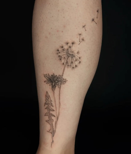 Small Fine Line Dandelion and Seeds Tattoo on Women Leg by @nature_obscure