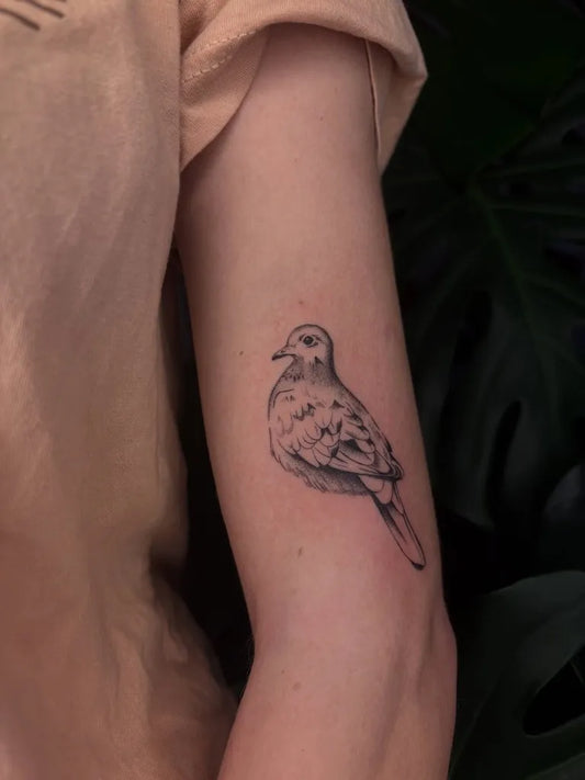 Small Fine Line Dove Tattoo on Women Arm by @emeraldbeetattoo