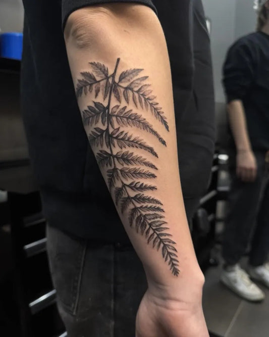 Small Fine Line Fern on Men Forearm Tattoo by @steelnink_kildonan