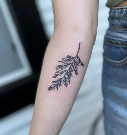 Small Fine Line Fir Branch Nature Tattoo on Women Arm by @seed.eternal