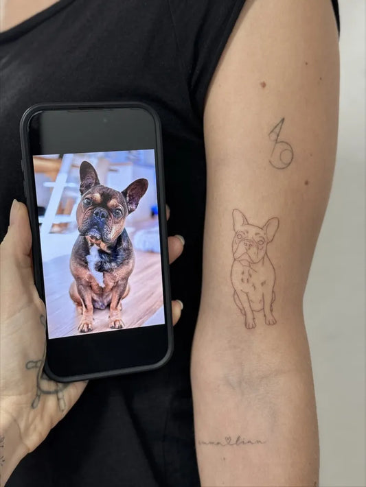 Small Fine Line French Bulldog Tattoo on Women Arm by @leoniemoistattoo