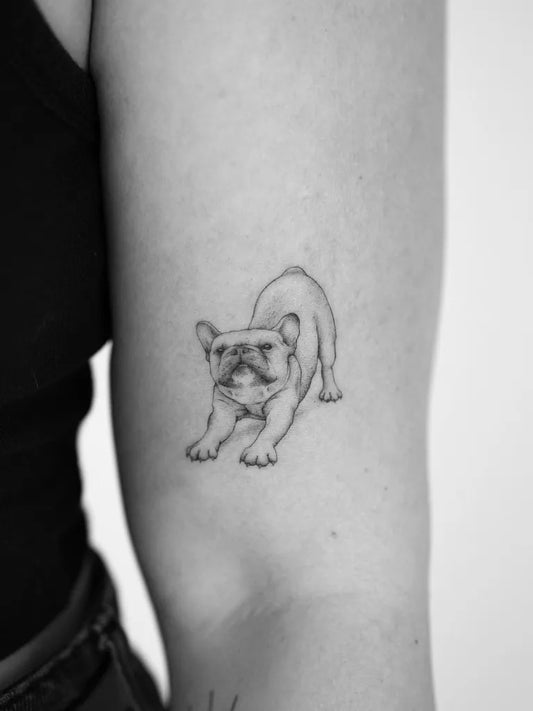 Small Fine Line French Bulldog Tattoo on Women Arm by @mrs.tattoo_