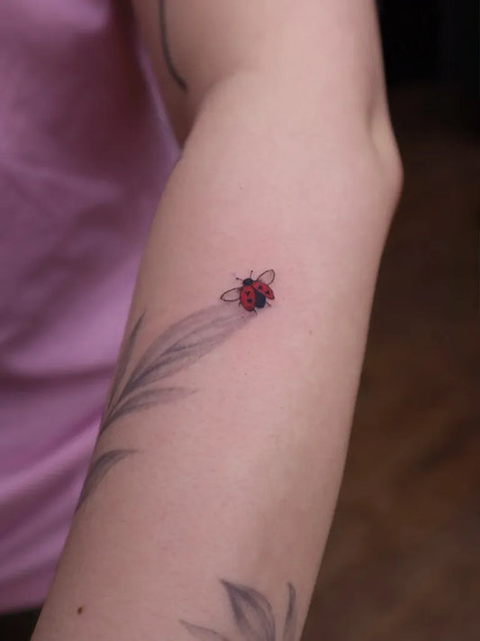 Small Fine Line Ladybug and Feather Tattoo on Women Arm by @cristinaaaelena