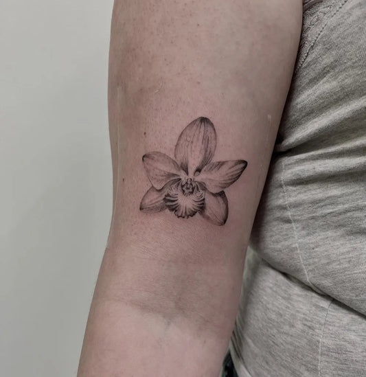 Small Fine Line Orchid Tattoo on Women Arm by @ky_tt_