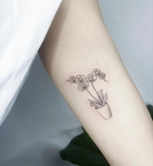 Small Fine Line Orchid in Pot Tattoo on Women Arm by @mudi.ink