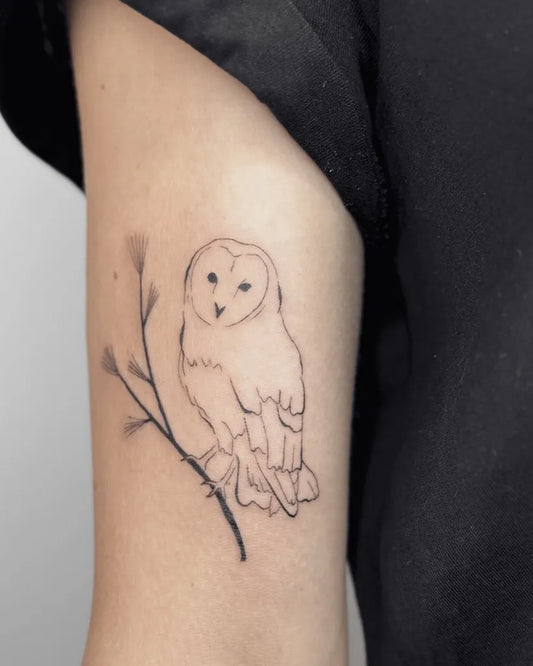 Small Fine Line Owl on Branch Tattoo on Women Arm by @littleseven.tattoo