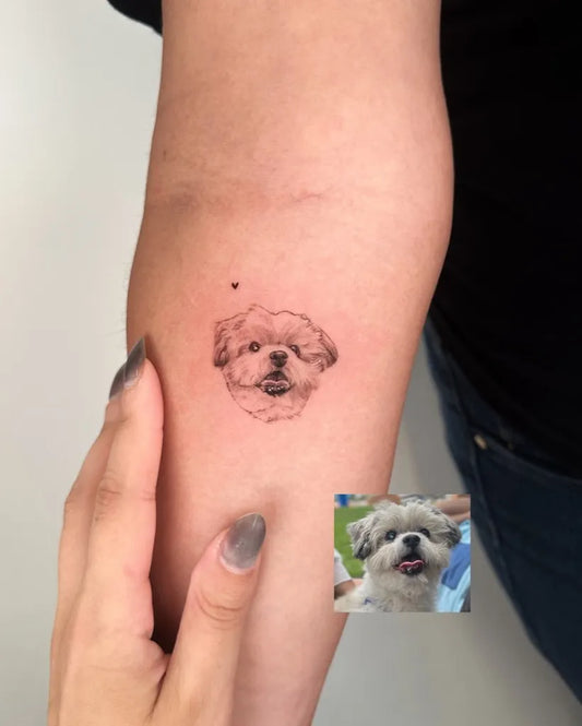 Small Fine Line Shih Tzu Dog Tattoo on Women Arm by @tamgallardo.tattoo