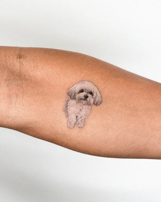 Small Fine Line Shih Tzu Dog Tattoo on Women Forearm by @e.ple_tattoo