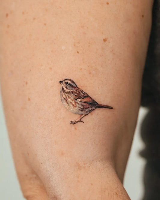Small Fine Line Sparrow Tattoo on Women Arm by @abii_tattoo