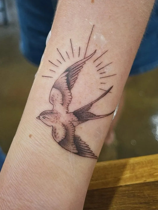 Small Fine Line Sparrow with Rays Tattoo on Women Forearm by @finelinecosmetics.tattoo
