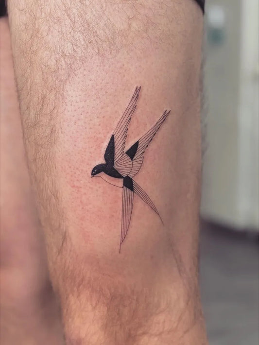 Small Fine Line Swallow Tattoo on Men Leg by @macun.ttt