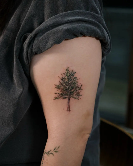 Small Fine Line Tree Tattoo on Women Upper Arm by @sinewpark_tt