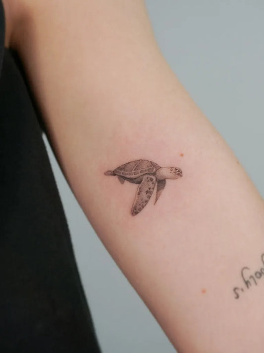 Small Fine Line Turtle Tattoo on Women Arm by @beckydonnellytattoo
