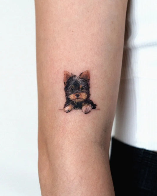 Small Fine Line Yorkshire Terrier Dog Tattoo on Women Arm by @e.ple_tattoo