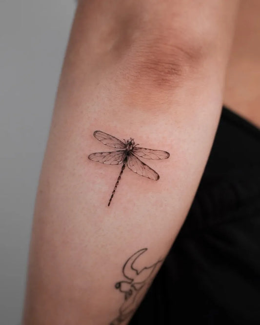 Small FineLine Dragonfly on Women Arm Tattoo by @its.freegee