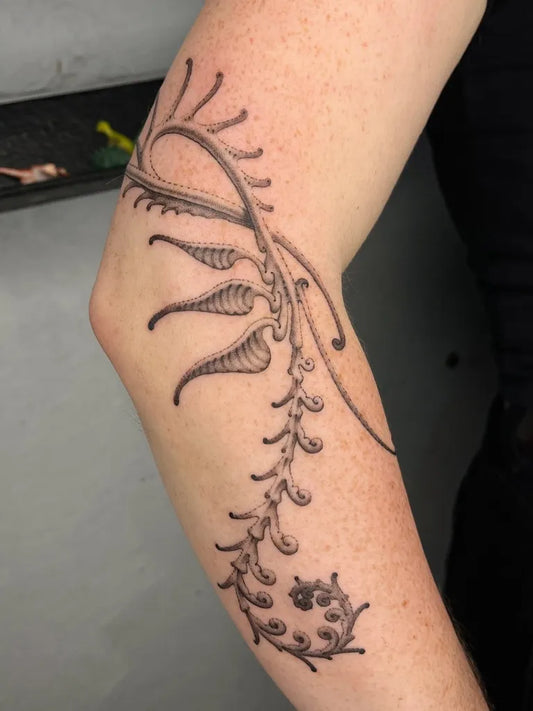 Small Illustrative Fern Vine Tattoo on Women Arm by @charles.mackerel