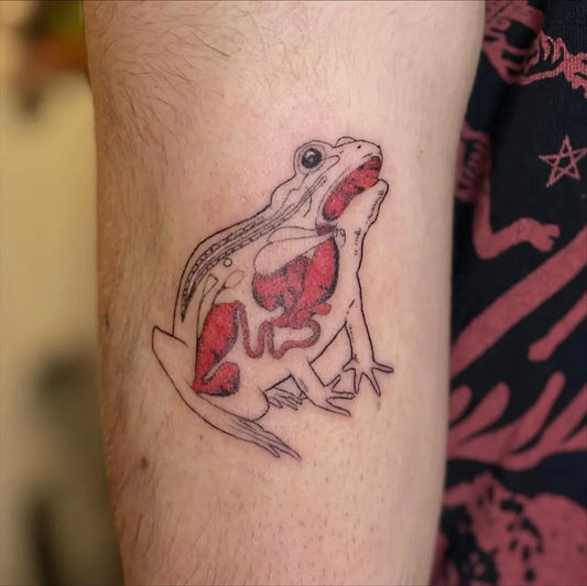 Small Illustrative Frog with Internal Organs Tattoo on Men Arm by @solstattoos