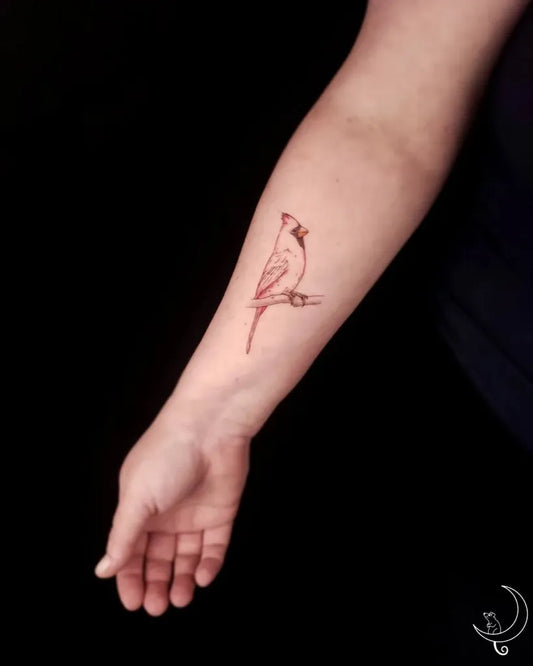 Small Linework Cardinal Tattoo on Women Arm by @anitadarkling