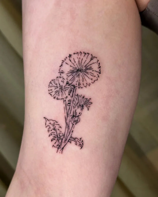 Small Linework Dandelion and Seeds Tattoo on Women Forearm by @habitats._