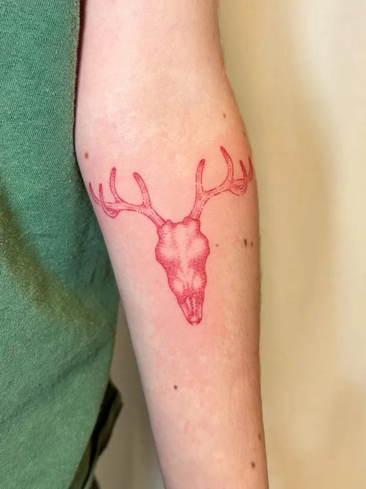 Small Linework Deer Skull Tattoo on Women Forearm by @daisy.pokes