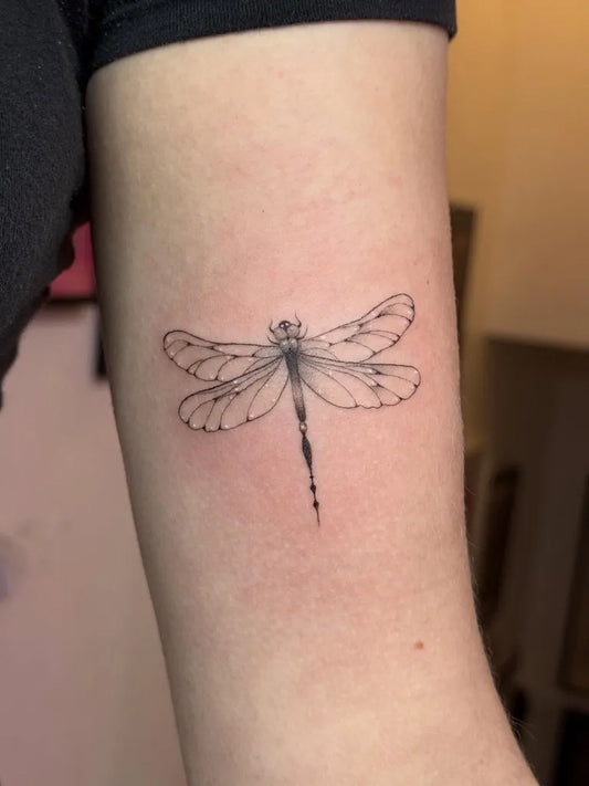 Small Linework Dragonfly on Women Arm Tattoo by @lucybethantattoos