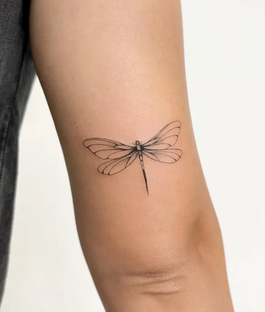 Small Linework Dragonfly on Women Arm Tattoo by @mayasophietattoo