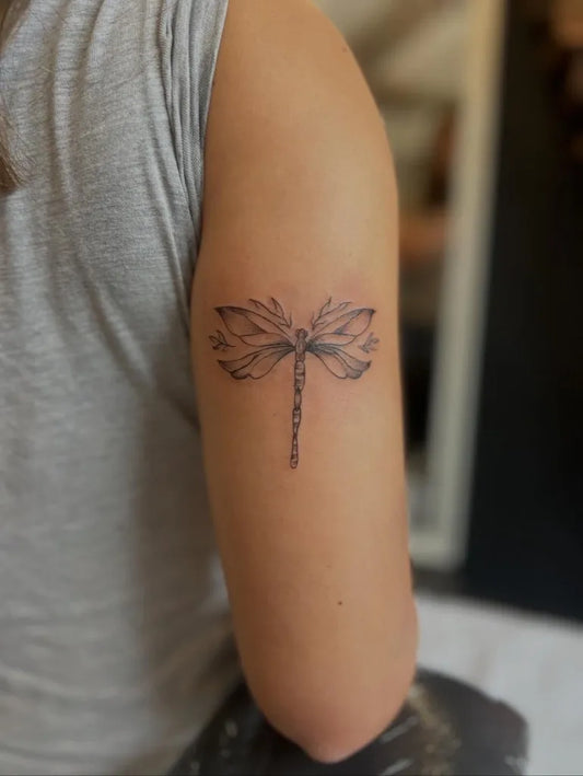Small Linework Dragonfly on Women Shoulder Tattoo by @_enchantedattic_