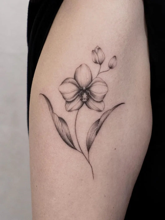 Small Linework Orchid Flower Tattoo on Women Arm by @wenf.ttt