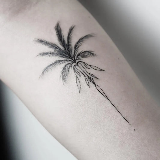 Small Linework Palm Tree Tattoo on Women Arm by @xoxotattoo