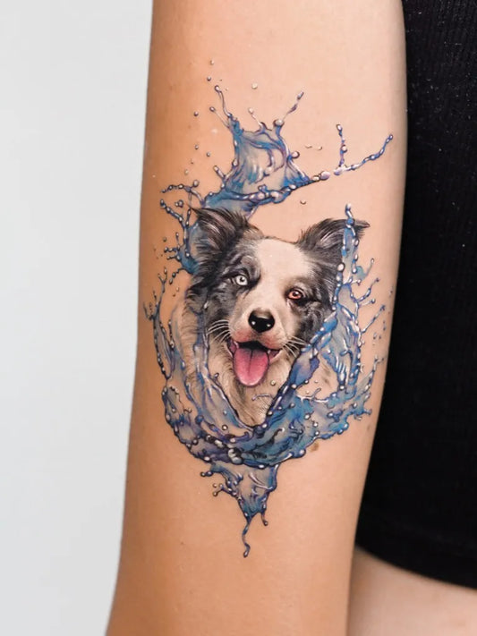 Small Micro Realism Border Collie in Water Splashes on Women Arm Tattoo by @debrartist