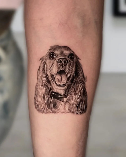 Small Micro Realism Cavalier King Charles Spaniel on Women Arm Tattoo by @ander_ramirez.art