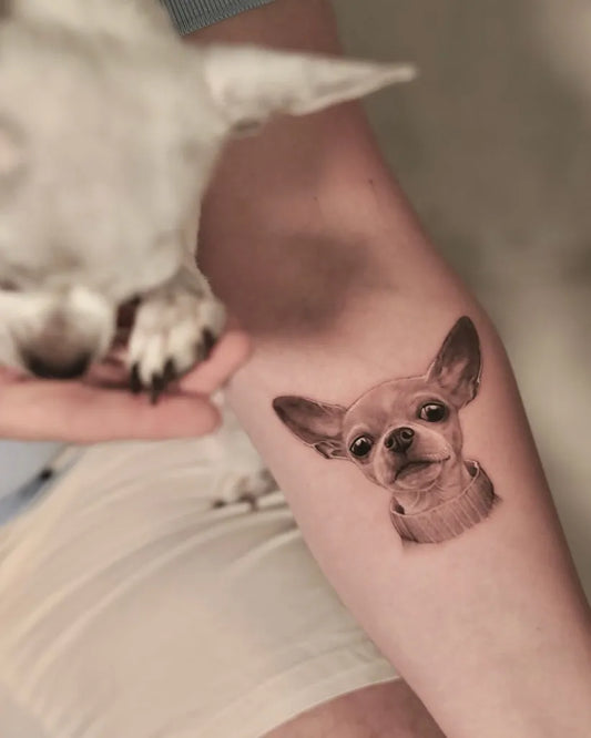 Small Micro Realism Chihuahua on Men Arm Tattoo by @silviacastillotattoo