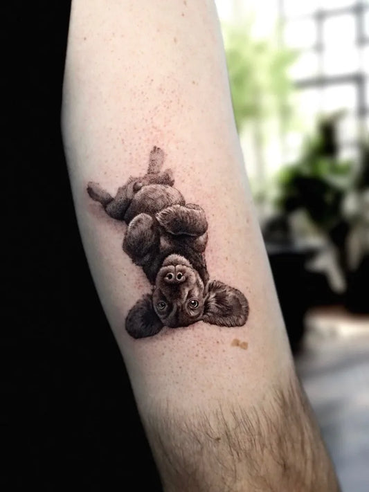 Small Micro Realism Puppy Upside Down on Men Forearm Tattoo by @albertonavarro.tattoo