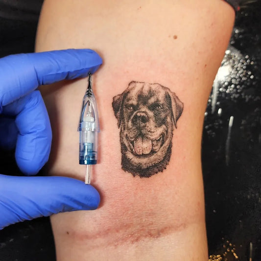 Small Micro Realism Rottweiler Head on Women Thigh Tattoo by @jn.a.rt
