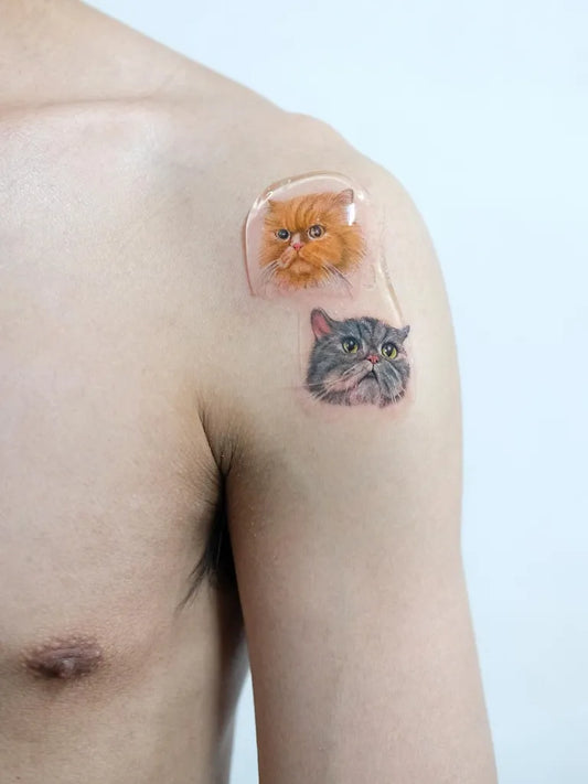 Small Micro Realism Two Cats on Men Shoulder Tattoo by @7catstattoo