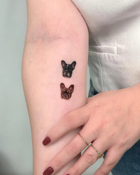 Small Micro Realism Two French Bulldog Heads on Women Arm Tattoo by @jorge.diro
