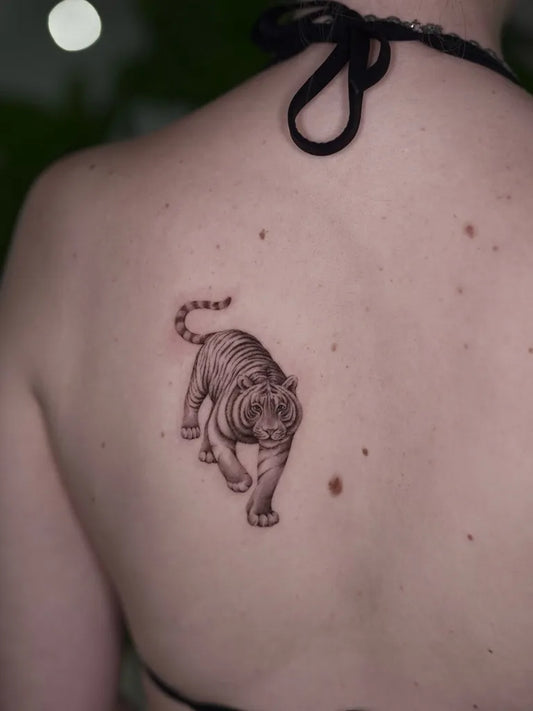 Small Micro Realism Walking Tiger on Women Shoulder Tattoo by @leiarttattoo