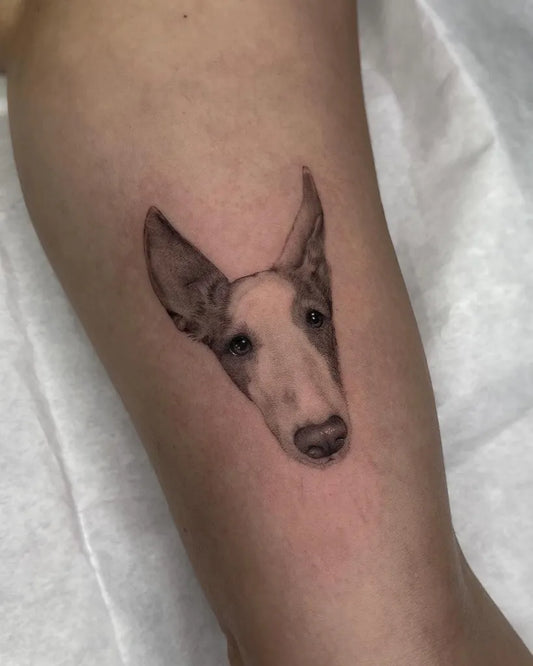Small Micro Realism Whippet Dog Portrait on Women Leg Tattoo by @larabe_tattoo